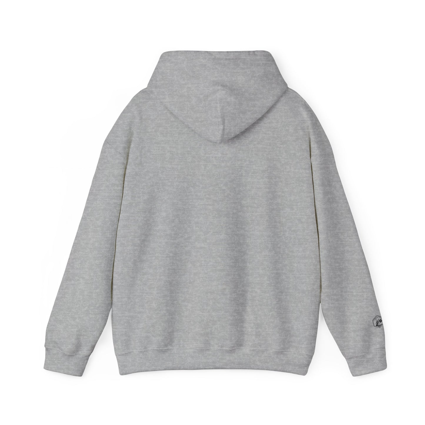 Playful Graphic Hoodie for Everyday Fun, Unisex Hooded Sweatshirt, Casual Wear, Gift for Her, Cozy Comfort