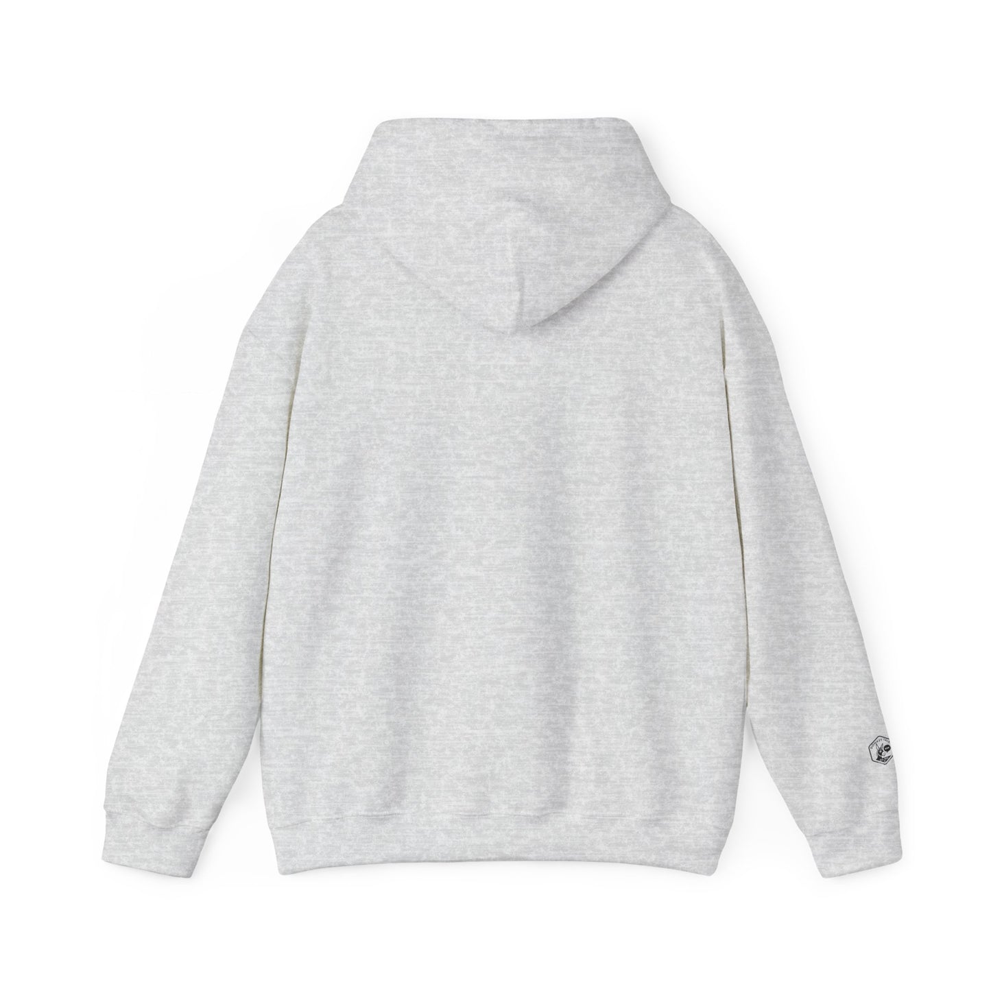 Playful Graphic Hoodie for Everyday Fun, Unisex Hooded Sweatshirt, Casual Wear, Gift for Her, Cozy Comfort