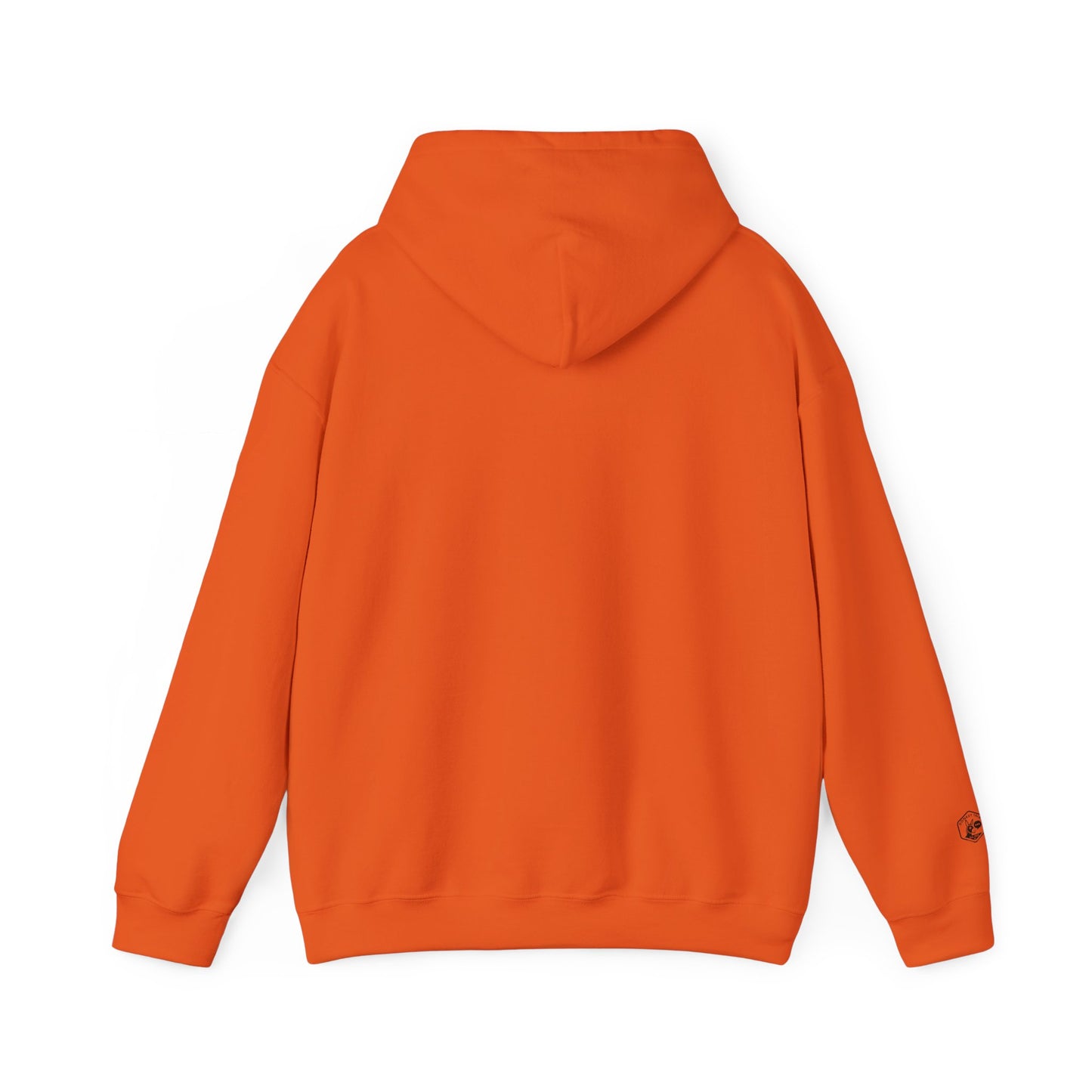 Playful Graphic Hoodie for Everyday Fun, Unisex Hooded Sweatshirt, Casual Wear, Gift for Her, Cozy Comfort